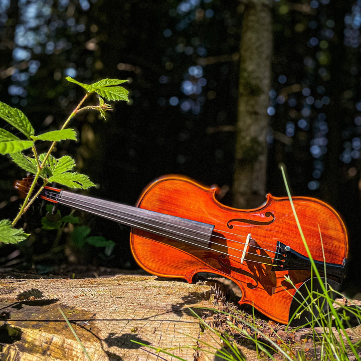 CONTEMPORARY Violine 