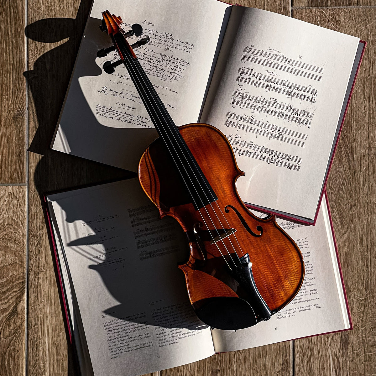 CONTEMPORARY Violin #123 CT, CG-123CT