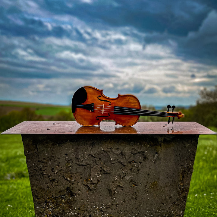 GOLDEN STATE Violine 