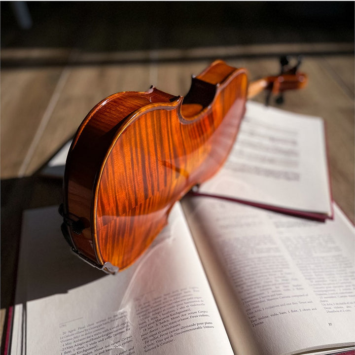 GOLDEN STATE Violine 