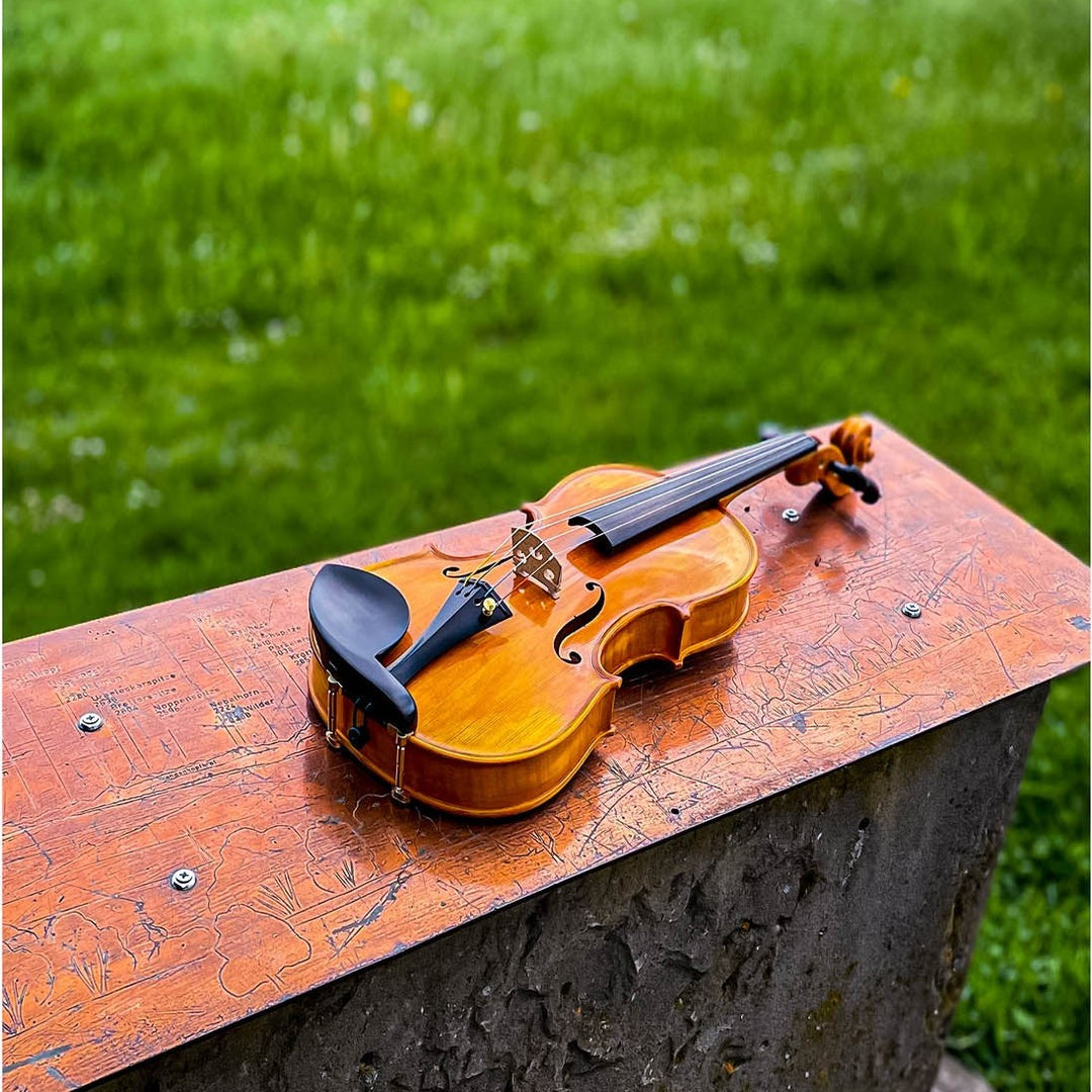 GOLDEN STATE Violine 
