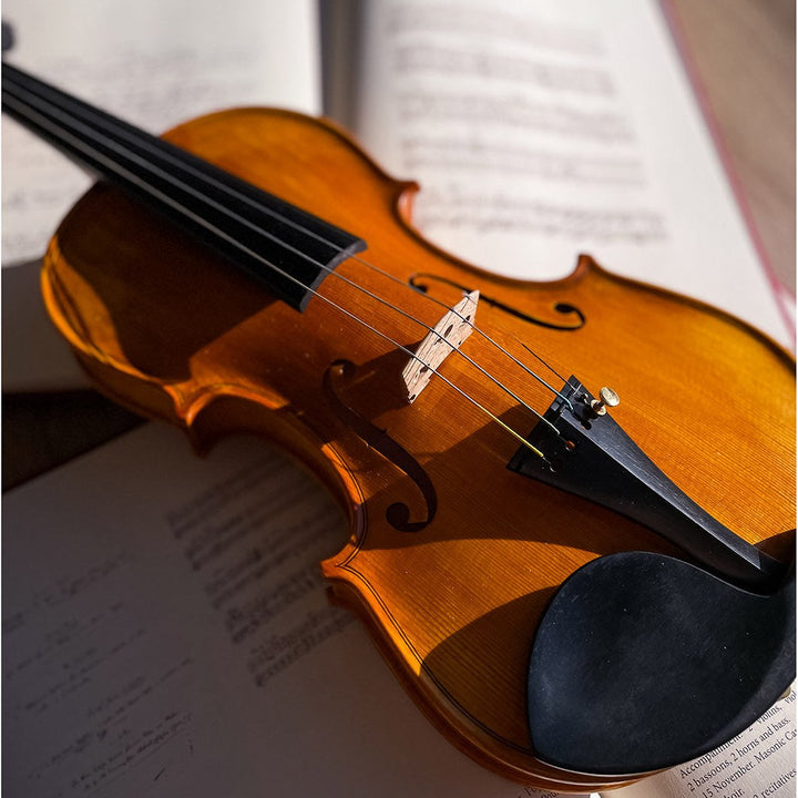 GOLDEN STATE Violine 