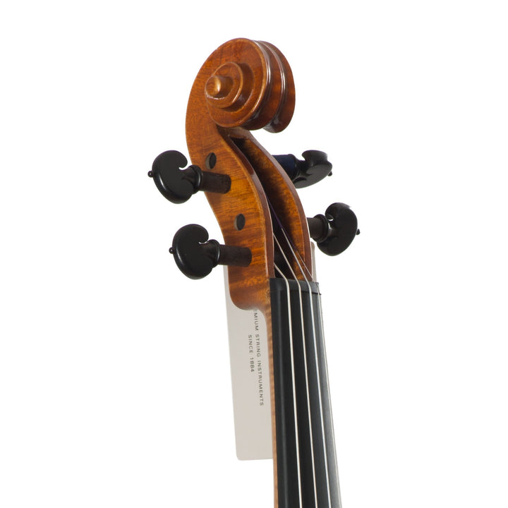 GOLDEN STATE Violine 