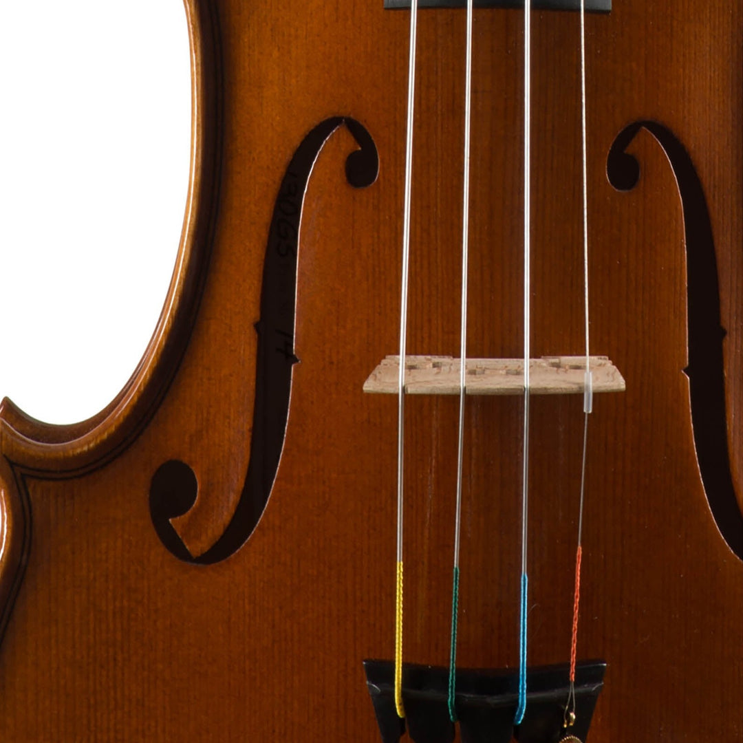 GOLDEN STATE Violine 