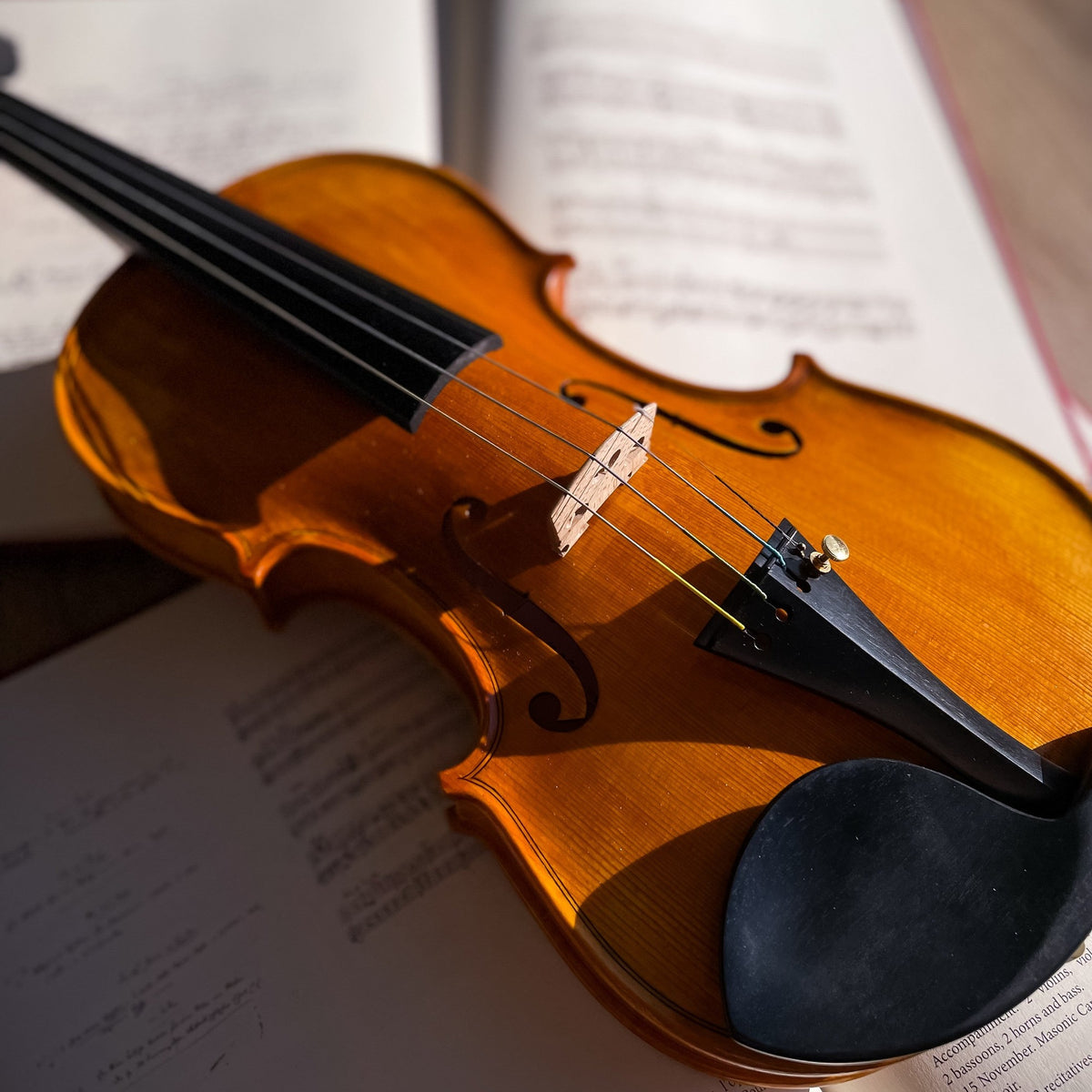 GOLDEN STATE Violine #115 GS, CG-115GS