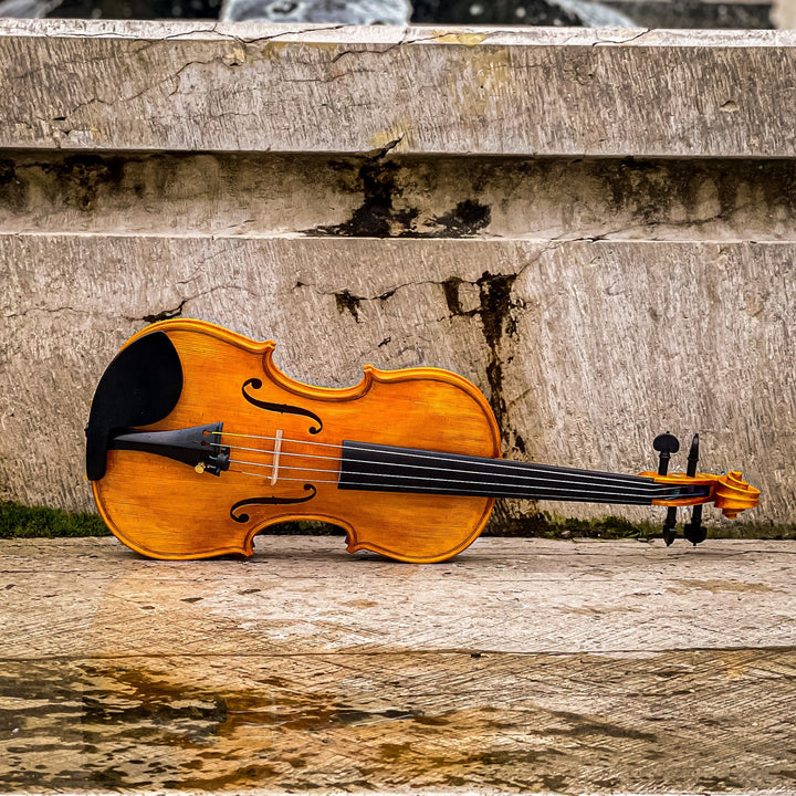 GOLDEN STATE Violine 