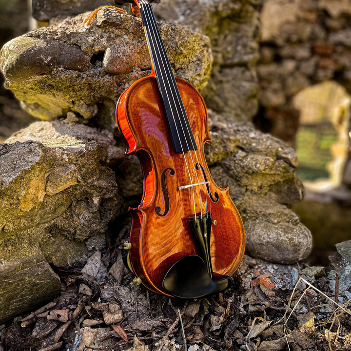 GOLDEN STATE Violine 