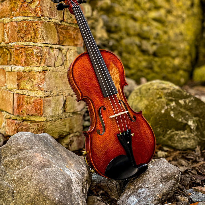 METROPOL Violine 