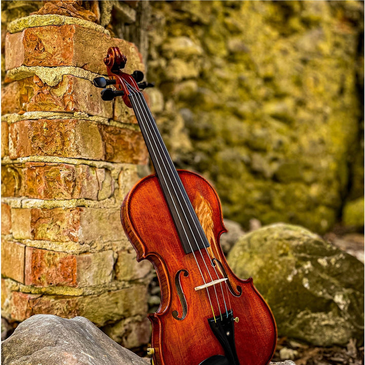 METROPOL Violine 