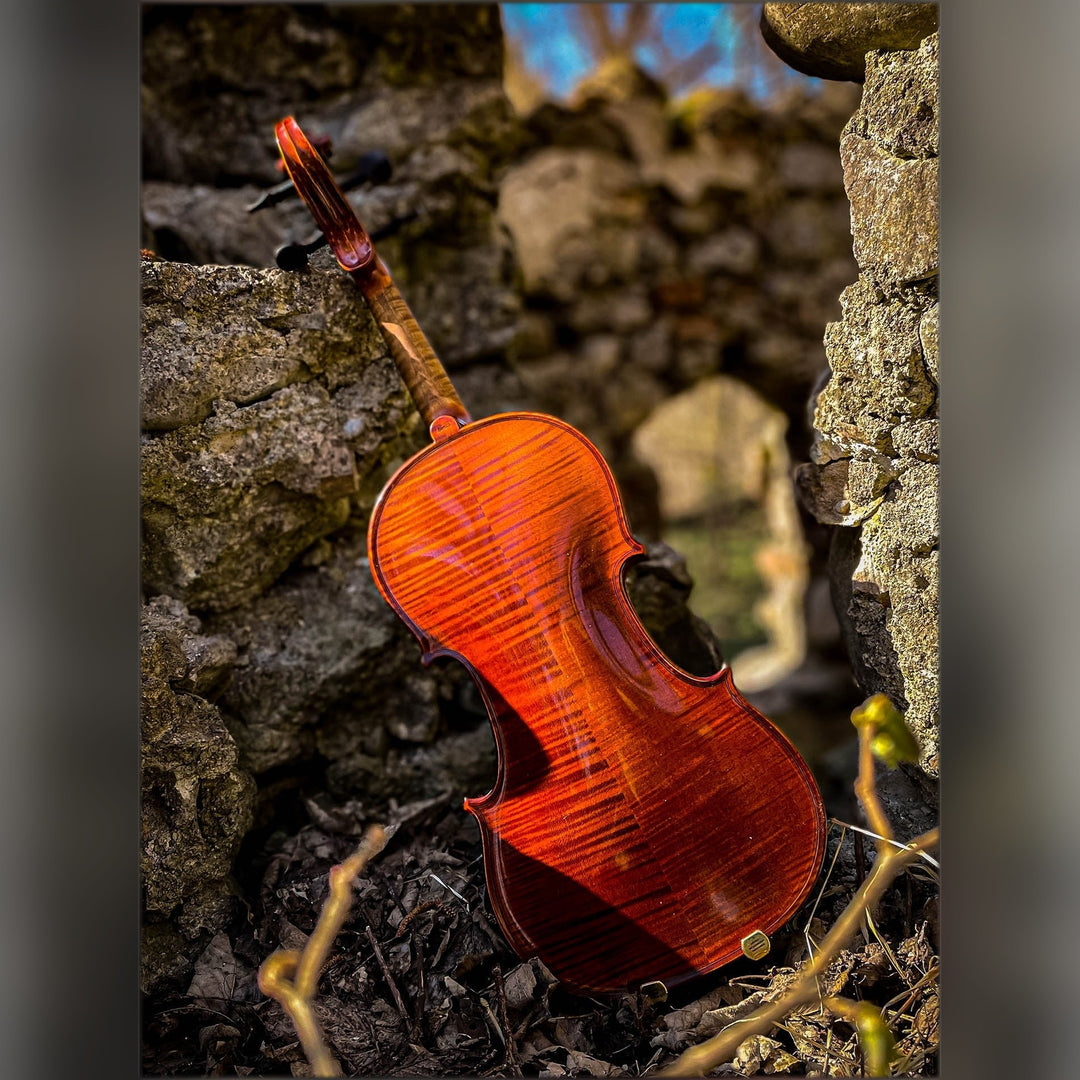 METROPOL Violine 