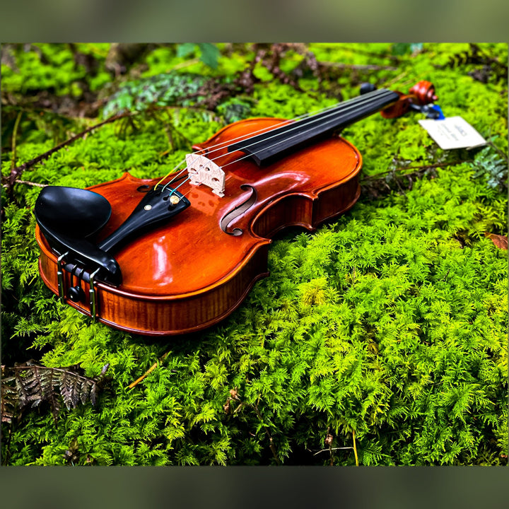 METROPOL Violine 
