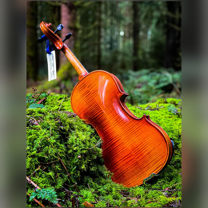 METROPOL Violine 