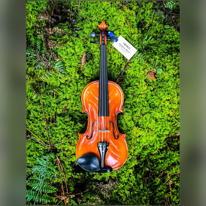 METROPOL Violine 