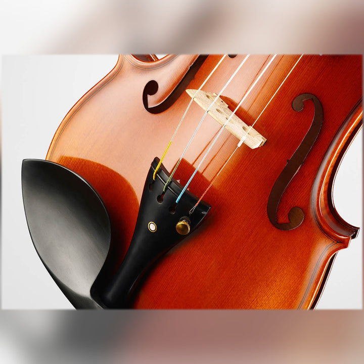 METROPOL Violine 