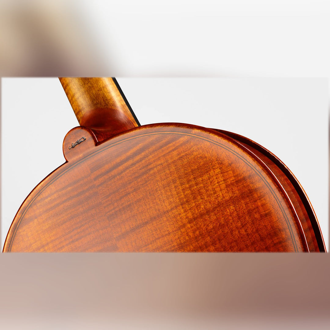 METROPOL Violine 