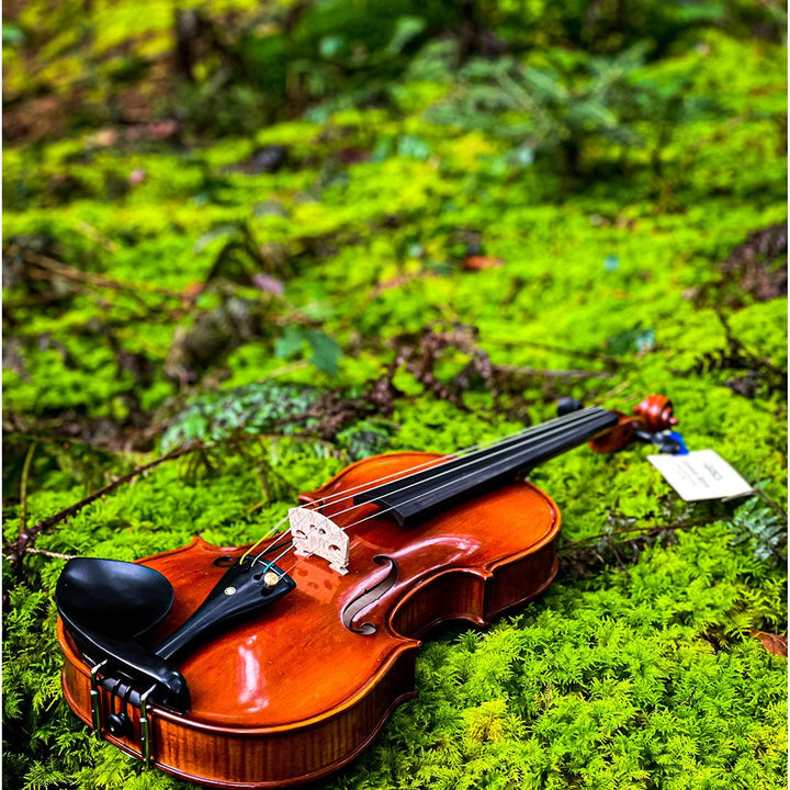 METROPOL Violine 