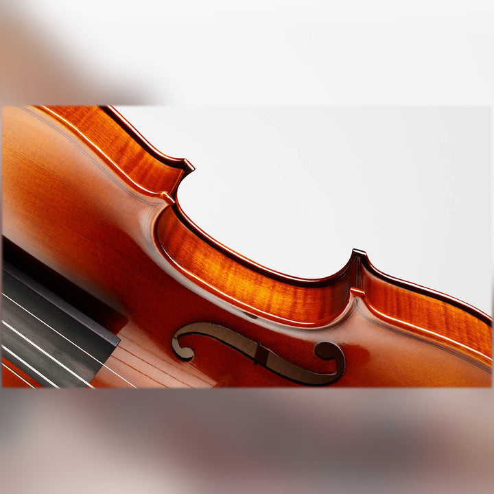 METROPOL Violine 