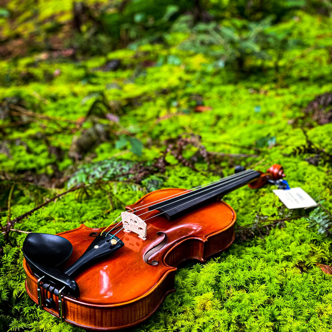 METROPOL Violine 