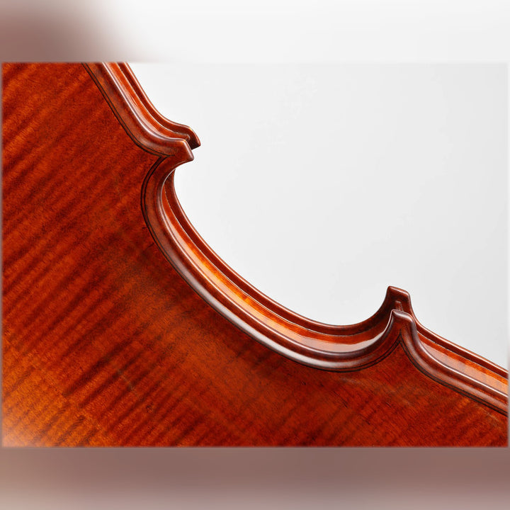 METROPOL Violine 