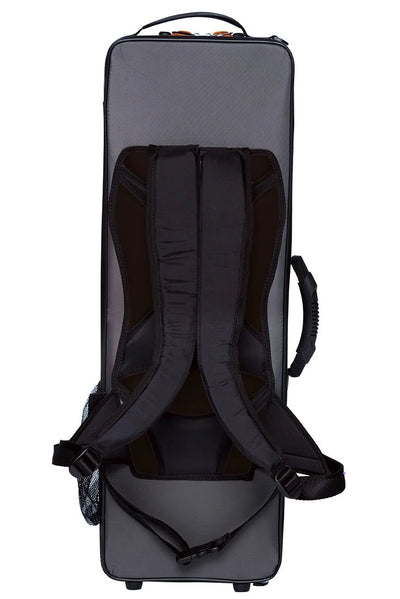 BAM PEAK2002BN Peak Performance Violin Case