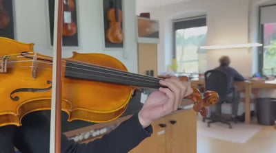 CANTONATE Violin #123 CA
