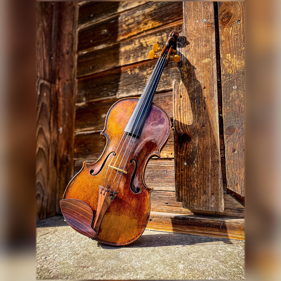 Tailpiece Violin in Rosewood, ZA-5148