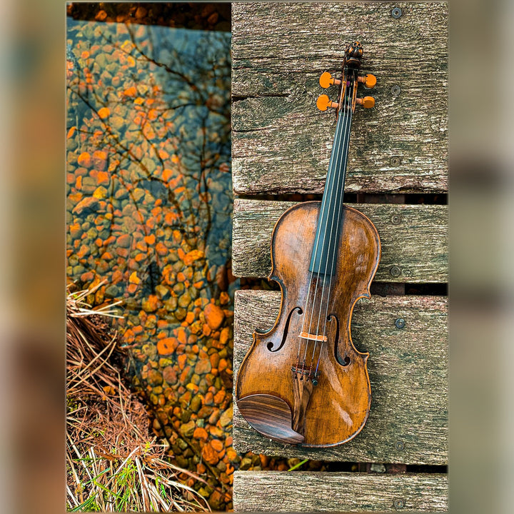 Tailpiece Violin in Rosewood, ZA-5148
