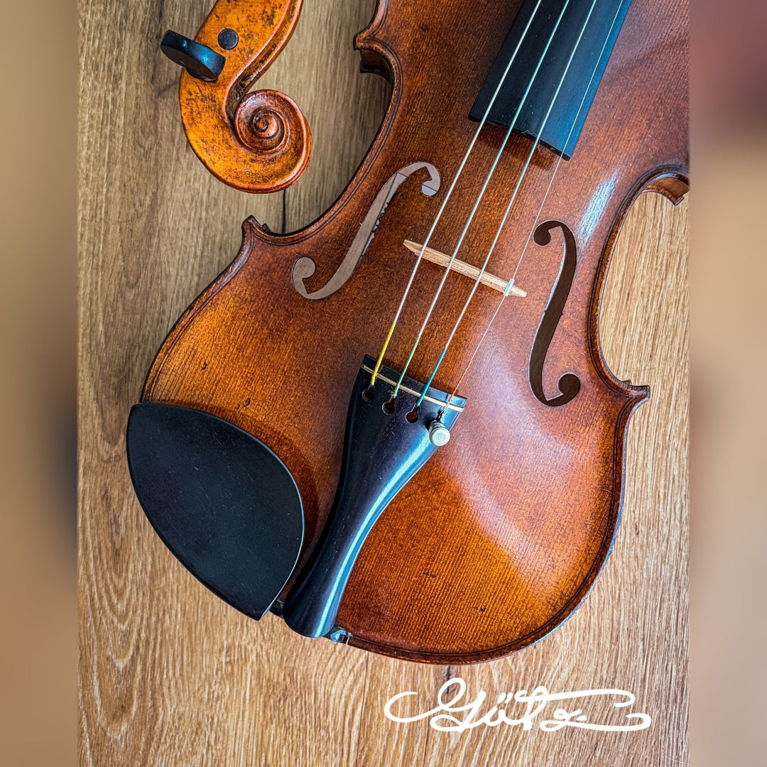 Slim Style Kinnhalter Violine Ebenholz, ZK-256