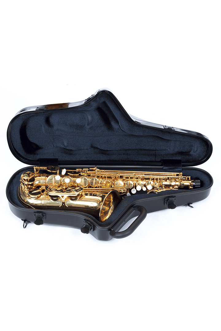 BAM-STAGE4111IG STAGE Alto Sax, Grey Thunder